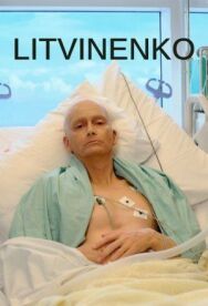 Постер к Литвиненко смотреть онлайн на HD Rezka