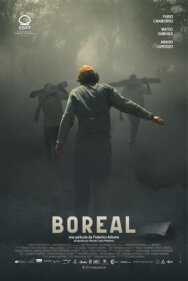 Постер к Полярное сияние смотреть онлайн на HD Rezka