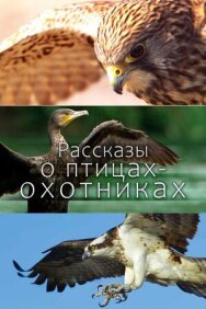 Постер к Рассказы о птицах-охотниках смотреть онлайн на HD Rezka