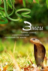 Постер к Змеи. Тайны самых смертоносных созданий на земле смотреть онлайн на HD Rezka