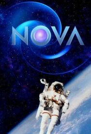 Постер к Новая звезда. Сказочный старт жизни смотреть онлайн на HD Rezka