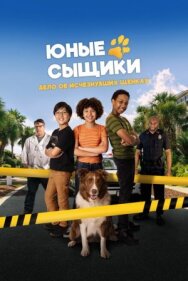 Постер к Юные сыщики. Дело об исчезнувших щенках смотреть онлайн на HD Rezka