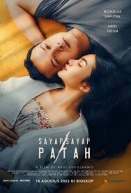 Постер к Сломанные крылья смотреть онлайн на HD Rezka