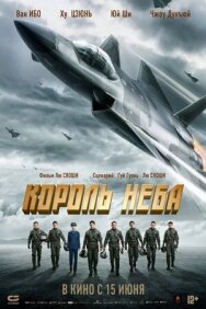 Постер к Король неба смотреть онлайн на HD Rezka