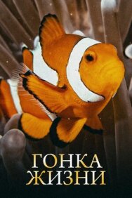 Постер к Гонка жизни смотреть онлайн на HD Rezka