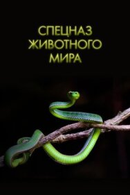 Постер к Спецназ животного мира смотреть онлайн на HD Rezka
