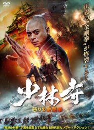 Постер к Southern Shaolin and the Fierce Buddha Warriors смотреть онлайн на HD Rezka