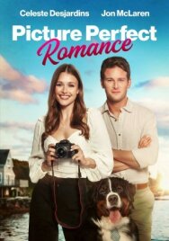 Постер к Идеальный роман смотреть онлайн на HD Rezka