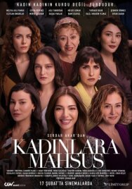 Постер к Посвящается женщинам смотреть онлайн на HD Rezka