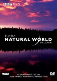 Постер к BBC: Живой мир смотреть онлайн на HD Rezka