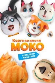 Постер к Корги по имени Моко. Домашние животные смотреть онлайн на HD Rezka
