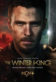 Постер к Зимний король смотреть онлайн на HD Rezka