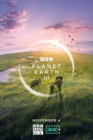 Постер к BBC: Планета Земля III смотреть онлайн на HD Rezka