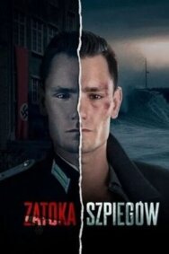 Постер к Шпионский залив смотреть онлайн на HD Rezka