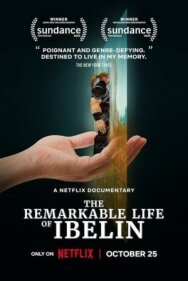 Постер к Ibelin: Невероятная жизнь геймера смотреть онлайн на HD Rezka