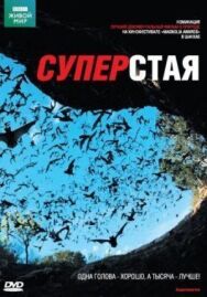 Постер к BBC: Суперстая смотреть онлайн на HD Rezka