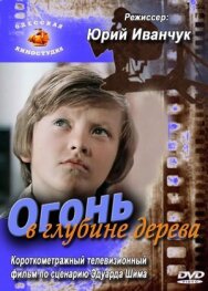 Постер к Огонь в глубине дерева смотреть онлайн на HD Rezka
