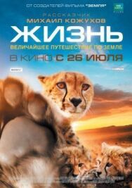 Постер к Жизнь смотреть онлайн на HD Rezka