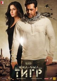 Постер к Жил-был Тигр смотреть онлайн на HD Rezka