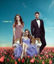 Постер к Пора тюльпанов смотреть онлайн на HD Rezka
