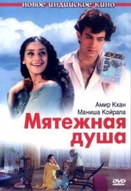 Постер к Мятежная душа смотреть онлайн на HD Rezka