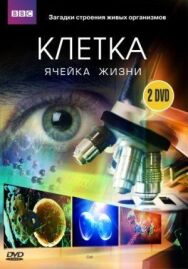 Постер к BBC: Клетка смотреть онлайн на HD Rezka