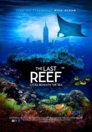 Постер к Последний риф 3D смотреть онлайн на HD Rezka