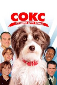 Постер к Сокс. Лучший друг семьи смотреть онлайн на HD Rezka