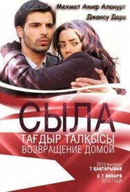 Постер к Сыла. Возвращение домой смотреть онлайн на HD Rezka