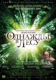 Постер к Однажды в лесу смотреть онлайн на HD Rezka