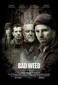 Постер к Последний урожай смотреть онлайн на HD Rezka
