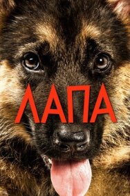 Постер к Лапа смотреть онлайн на HD Rezka
