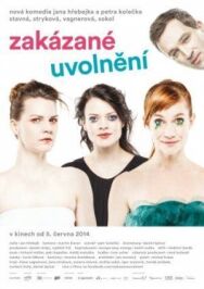 Постер к Запретное расслабление смотреть онлайн на HD Rezka