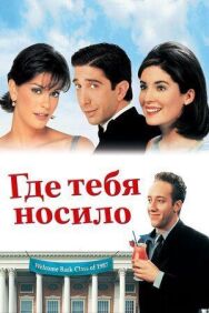 Постер к Где тебя носило смотреть онлайн на HD Rezka