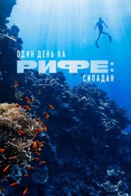 Постер к Один день на рифе: Сипадан смотреть онлайн на HD Rezka