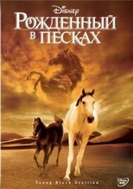 Постер к Рожденный в песках смотреть онлайн на HD Rezka