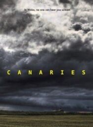Постер к Канарейки смотреть онлайн на HD Rezka