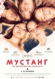 Постер к Мустанг смотреть онлайн на HD Rezka