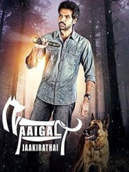 Постер к Берегитесь собак смотреть онлайн на HD Rezka