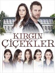 Постер к Обиженные цветы смотреть онлайн на HD Rezka