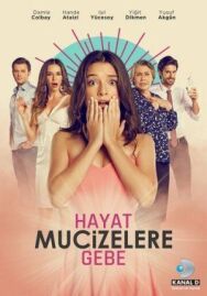 Постер к Жизнь полна чудес смотреть онлайн на HD Rezka